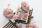 Beautiful Wooden Soap Dish